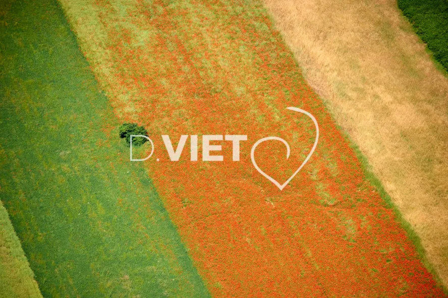 Photo Dominique VIET - Cultures