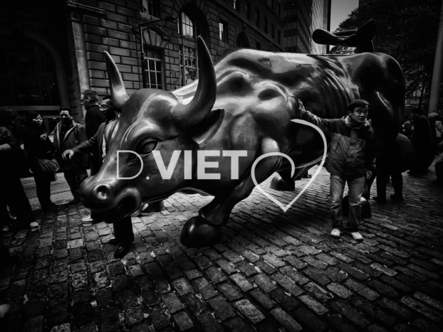 Photo Dominique VIET - VIET_007351