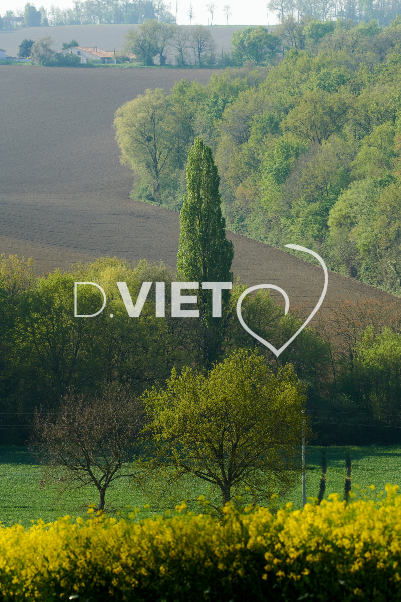 Photo Dominique VIET - Terres et Arbres
