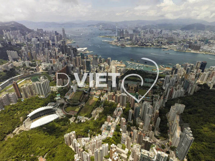 Photo Dominique VIET - VIET_007289