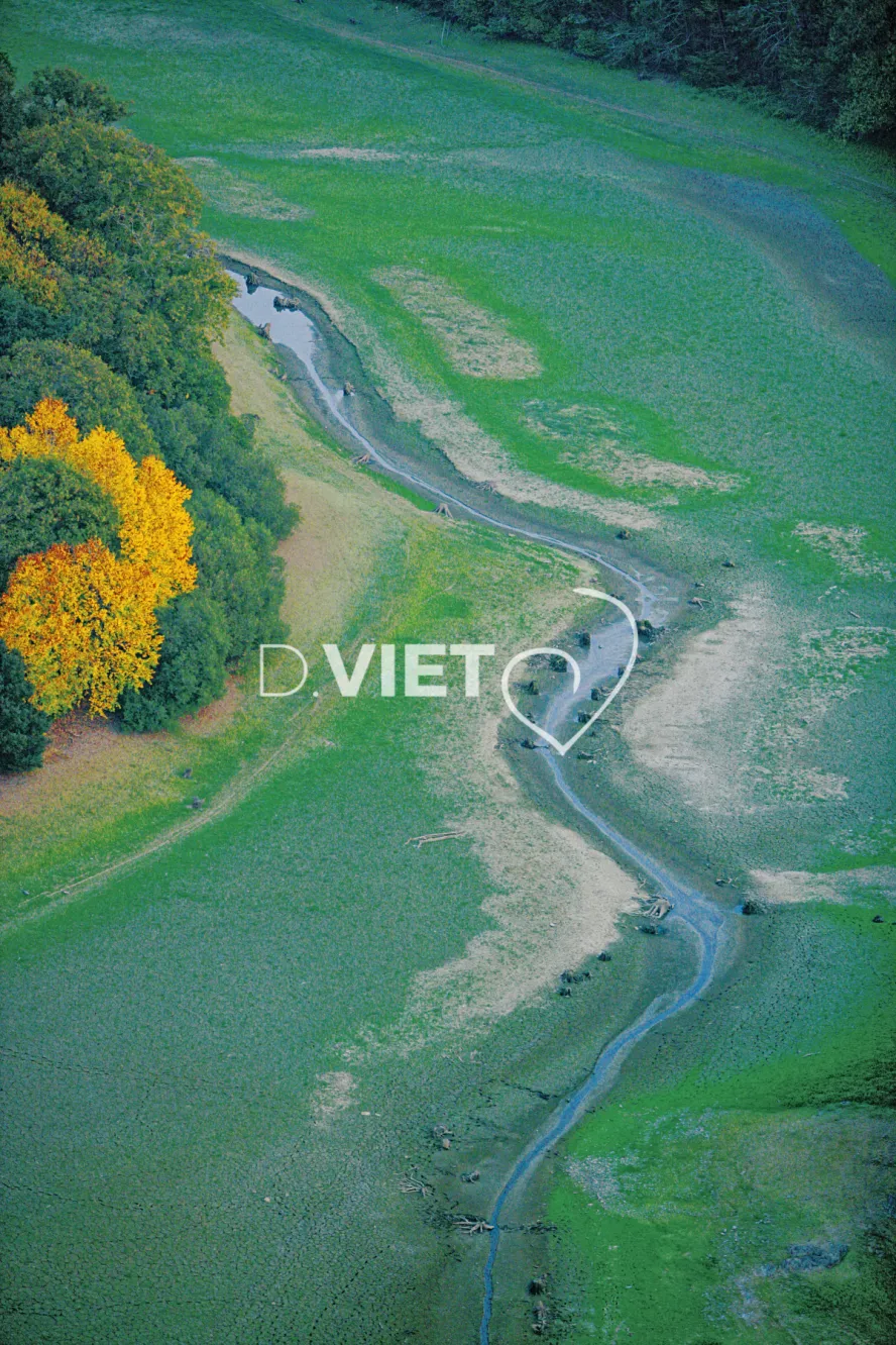 Photo Dominique VIET - cours de la vie au dessus de Noimoutier