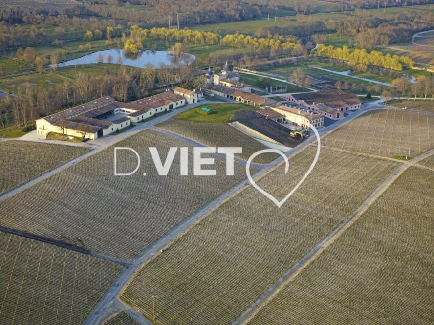 Photo Dominique VIET - Chateau Lafitte Rotschild Medoc