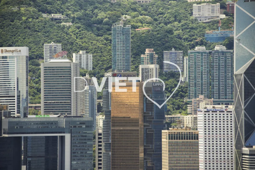 Photo Dominique VIET - VIET_007308