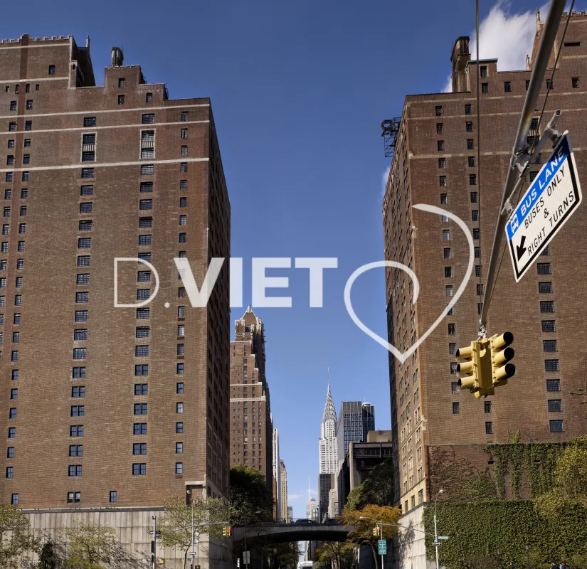 Photo Dominique VIET - VIET_007428