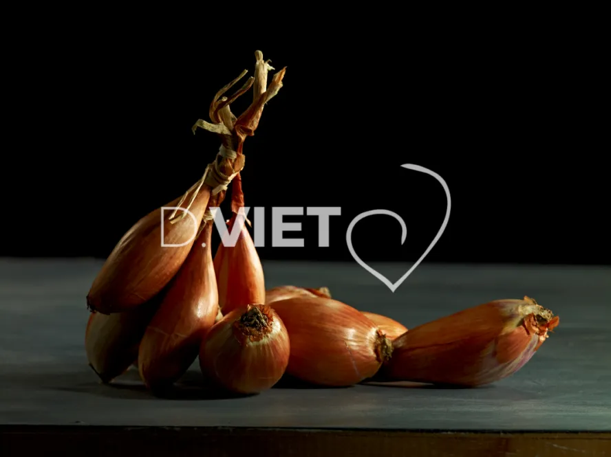 Photo Dominique VIET - Echalottes