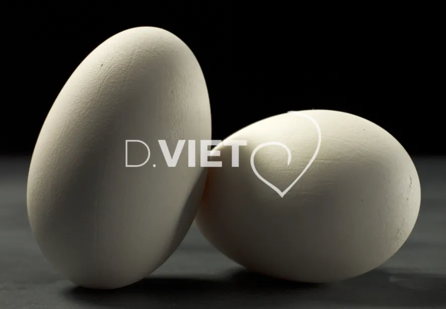 Photo Dominique VIET - Oeufs d'oies