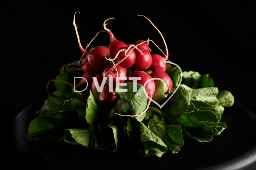 Photo Dominique VIET - Radis