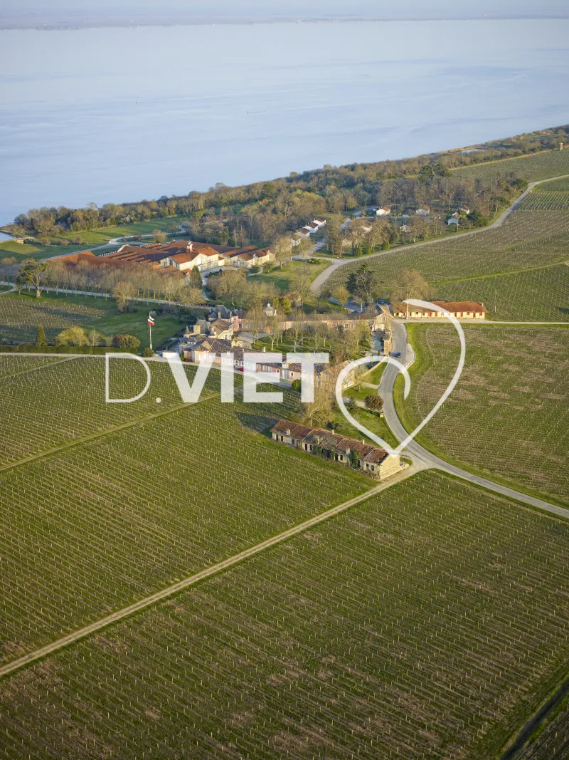 Photo Dominique VIET - Chateau Loudenne Medoc