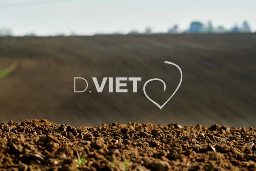 Photo Dominique VIET - Terres préparées