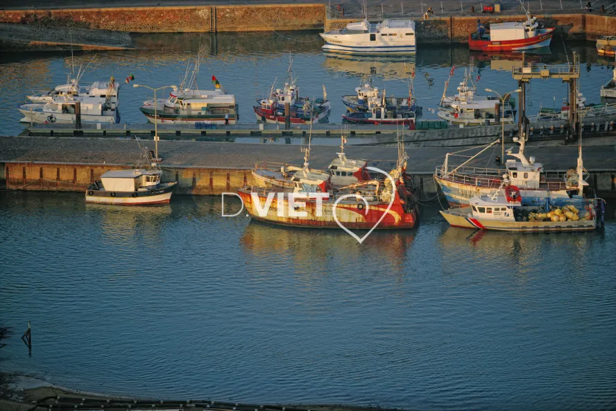 Photo Dominique VIET - port de saint gilles croix de vie