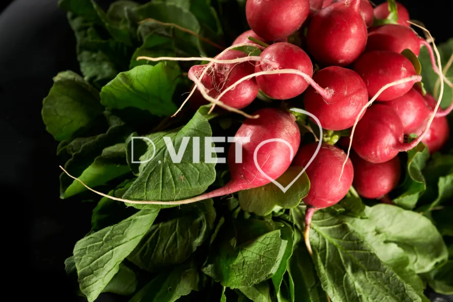 Photo Dominique VIET - Radis