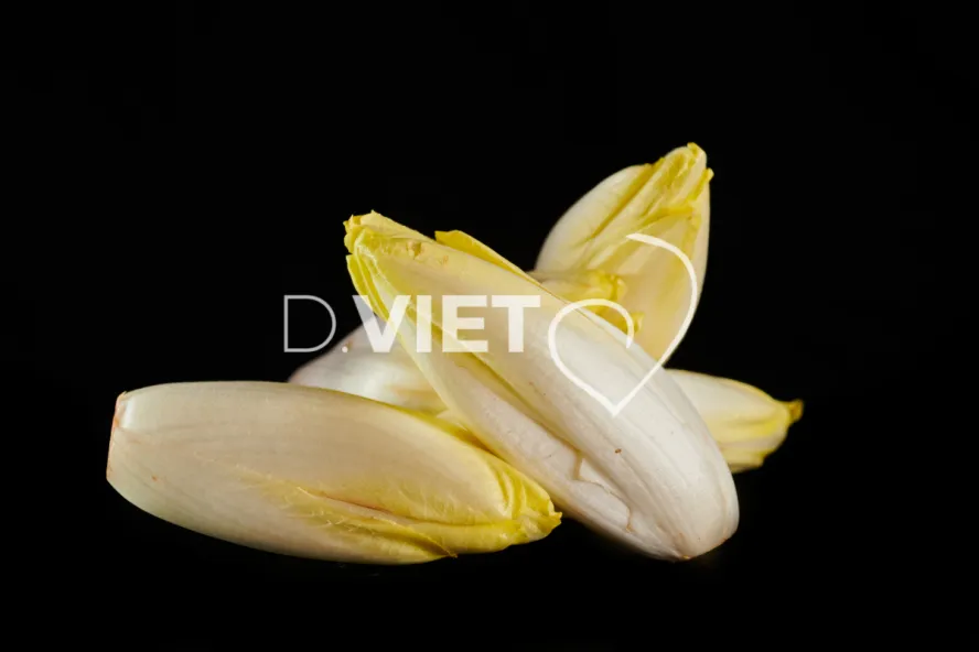 Photo Dominique VIET - Endives