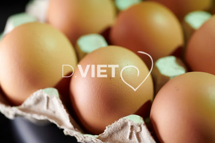 Photo Dominique VIET - Oeufs