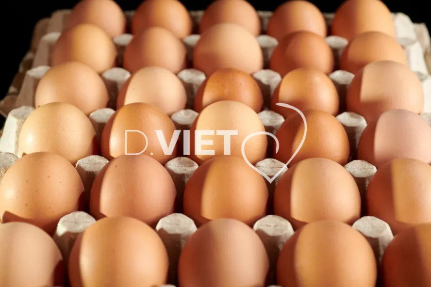 Photo Dominique VIET - Oeufs