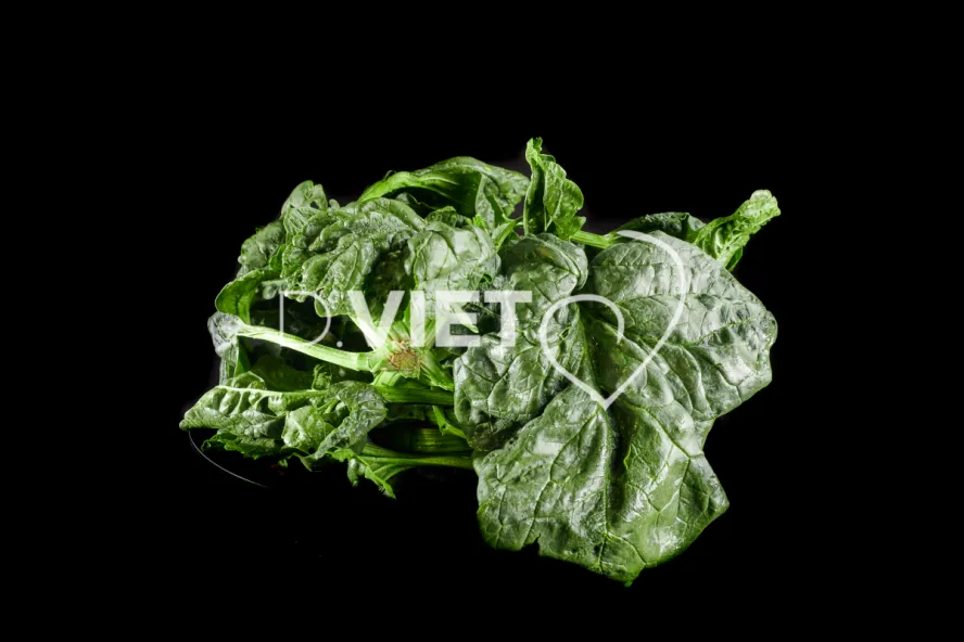 Photo Dominique VIET - Epinards