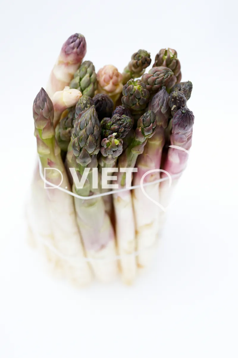 Photo Dominique VIET - VIET_010195