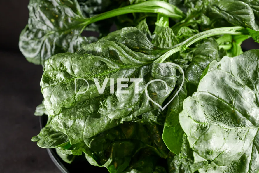 Photo Dominique VIET - Epinards