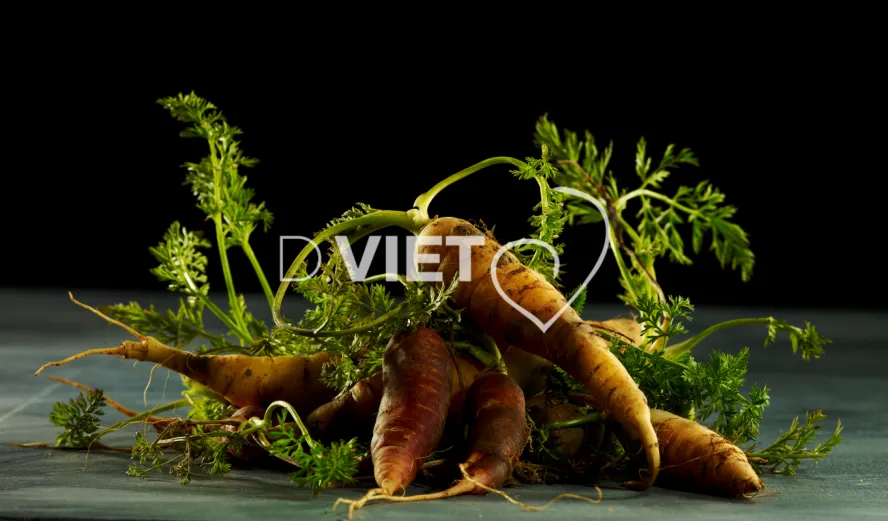 Photo Dominique VIET - Carottes
