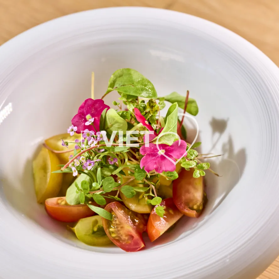 Photo Dominique VIET - Stephane Tournié