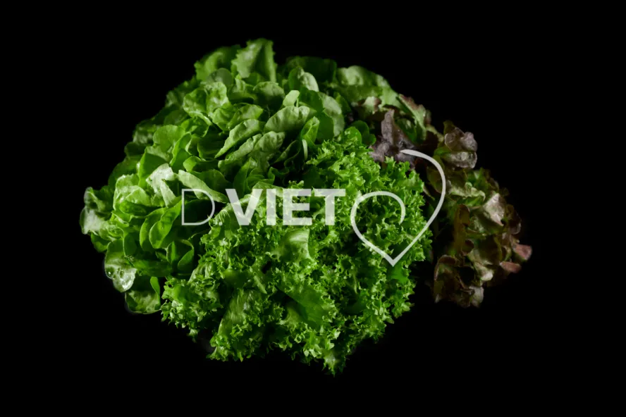 Photo Dominique VIET - Salades