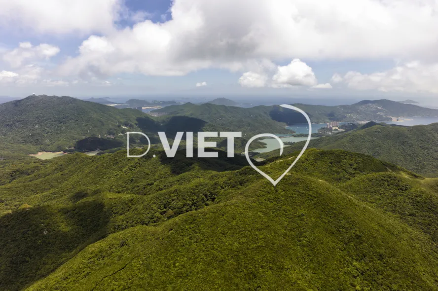 Photo Dominique VIET - VIET_007207