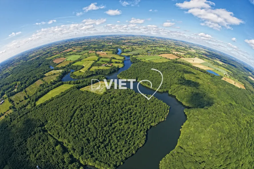 Photo Dominique VIET - foret de Mervent