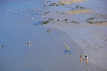 Photo Dominique VIET - Plage maree basse coquillages
