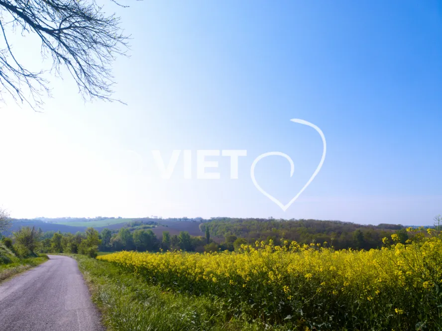 Photo Dominique VIET - VIET_010434