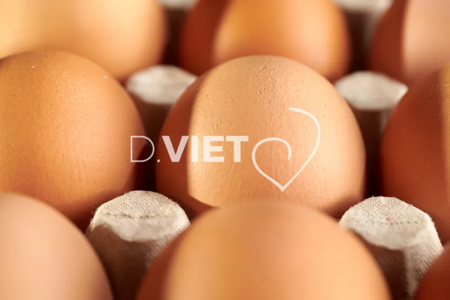 Photo Dominique VIET - Oeufs