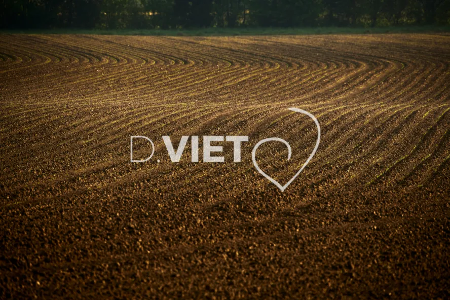 Photo Dominique VIET - Terres semées