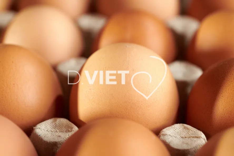 Photo Dominique VIET - Oeufs