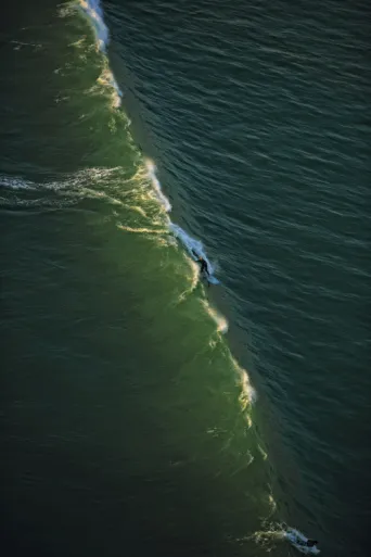 Photo Dominique VIET - vague et surf