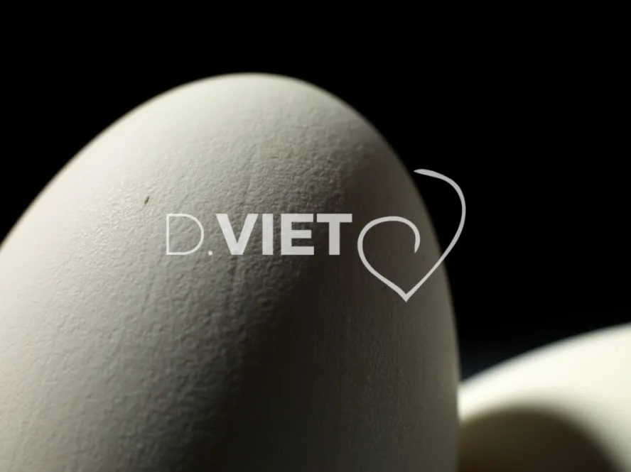 Photo Dominique VIET - Oeufs d'oies