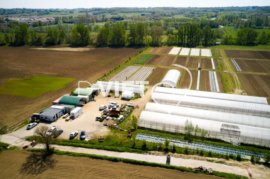 Photo Dominique VIET - Jardins du Girou Serres et Terres