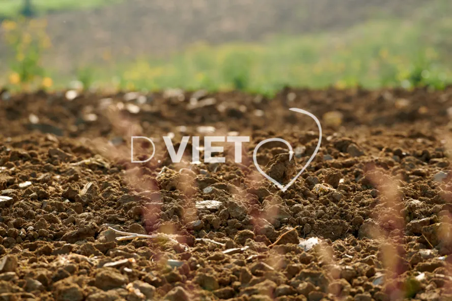 Photo Dominique VIET - Terres préparées