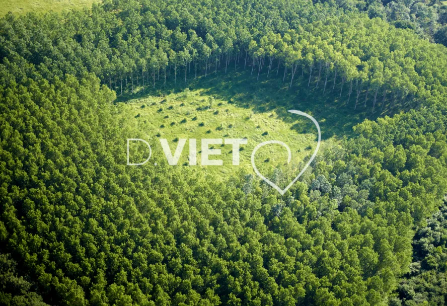 Photo Dominique VIET - Terres semées