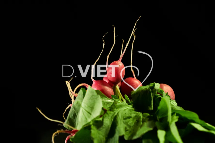 Photo Dominique VIET - Radis