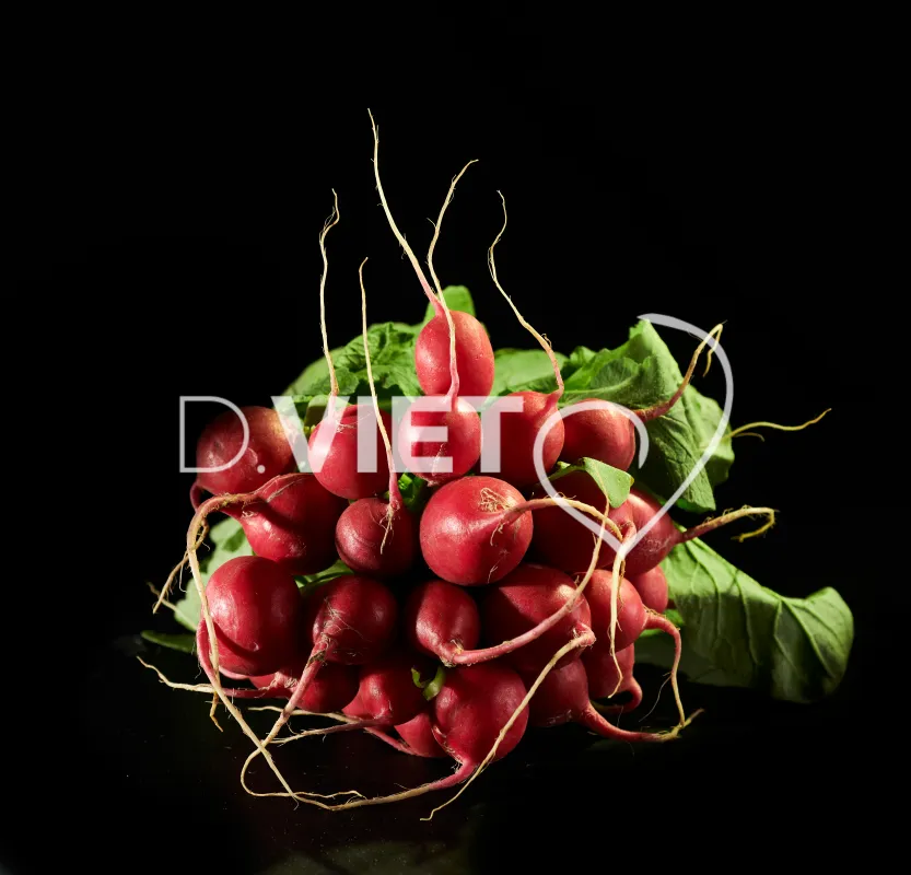 Photo Dominique VIET - Radis