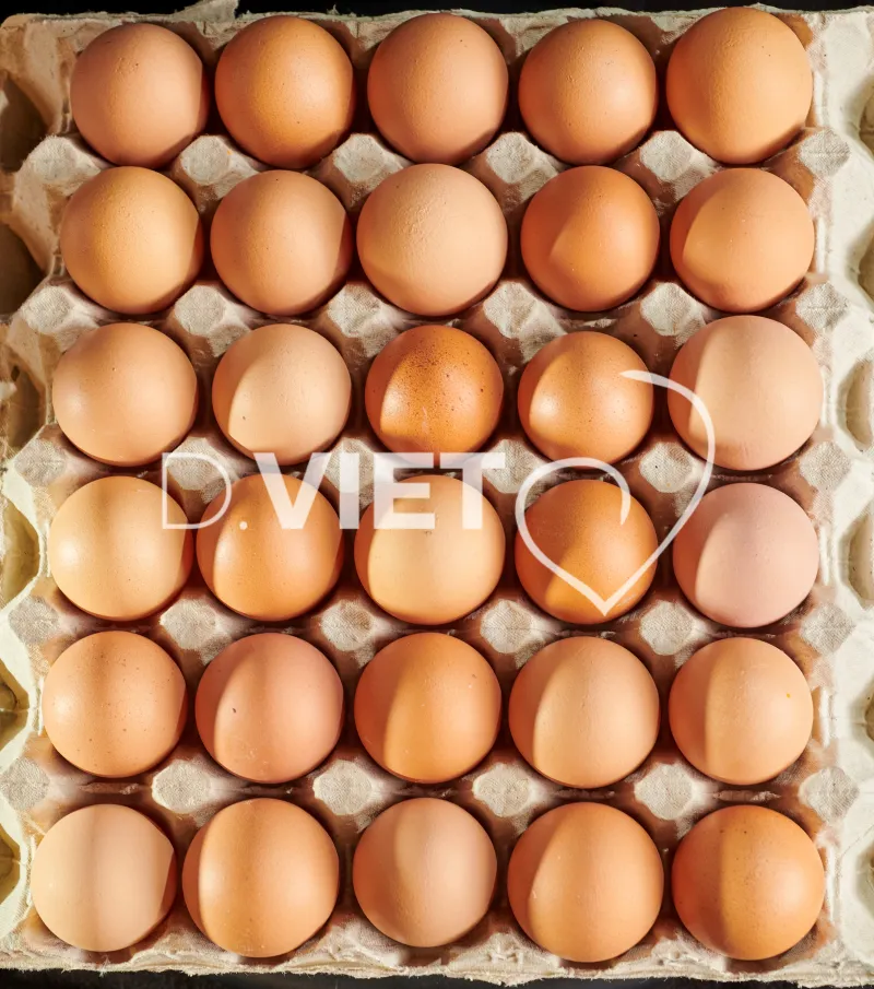 Photo Dominique VIET - Oeufs