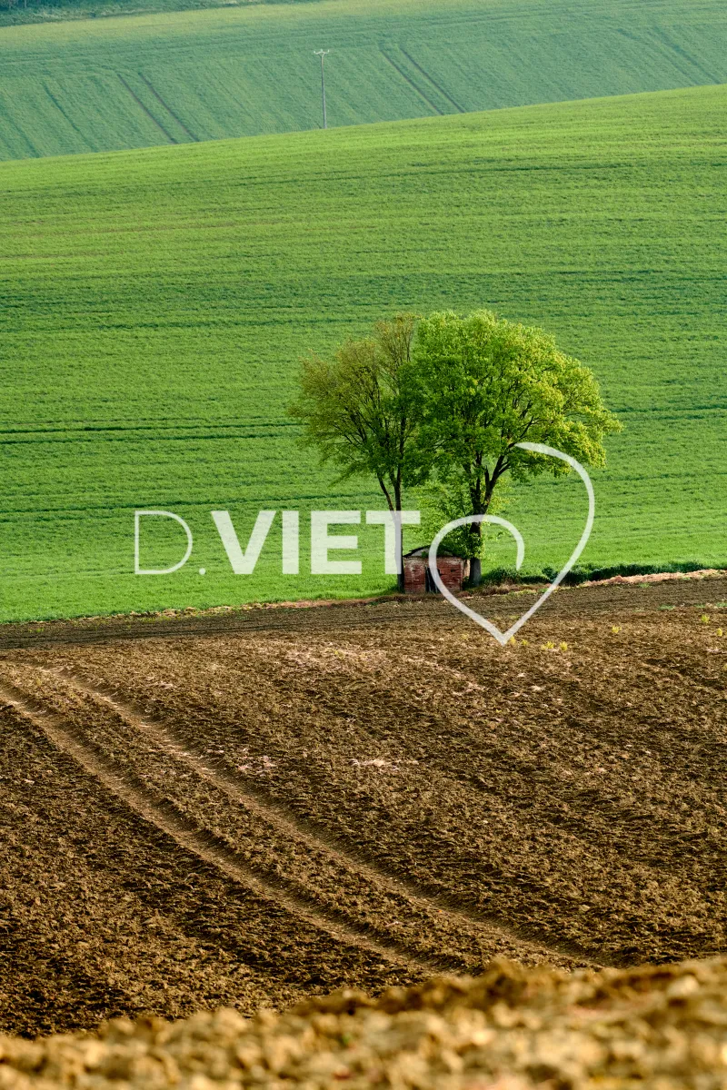 Photo Dominique VIET - paysages du lauragais