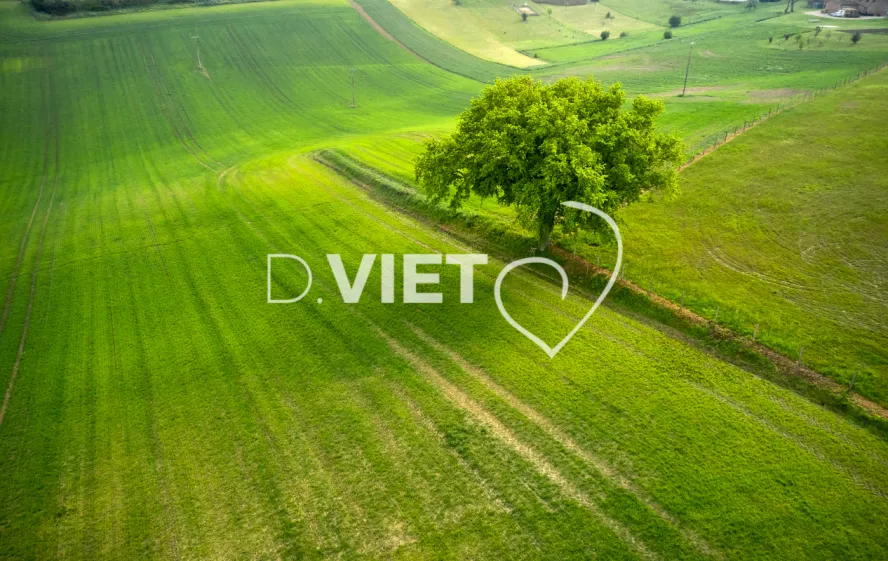 Photo Dominique VIET - Terres semées