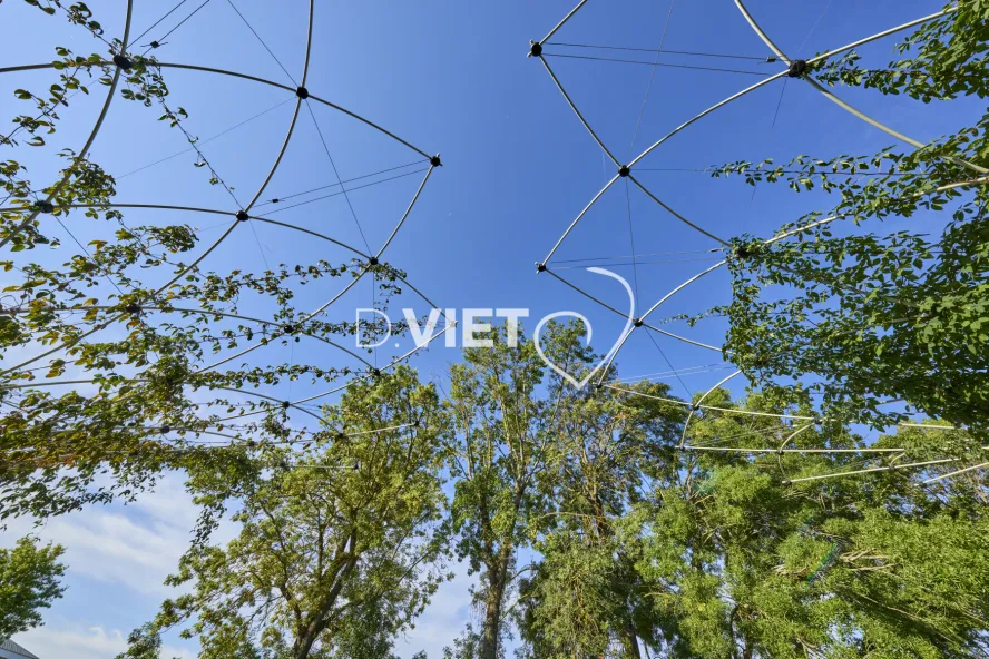 Photo Dominique VIET - CANOPEE