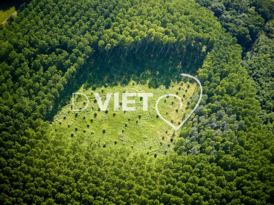 Photo Dominique VIET - Terres semées