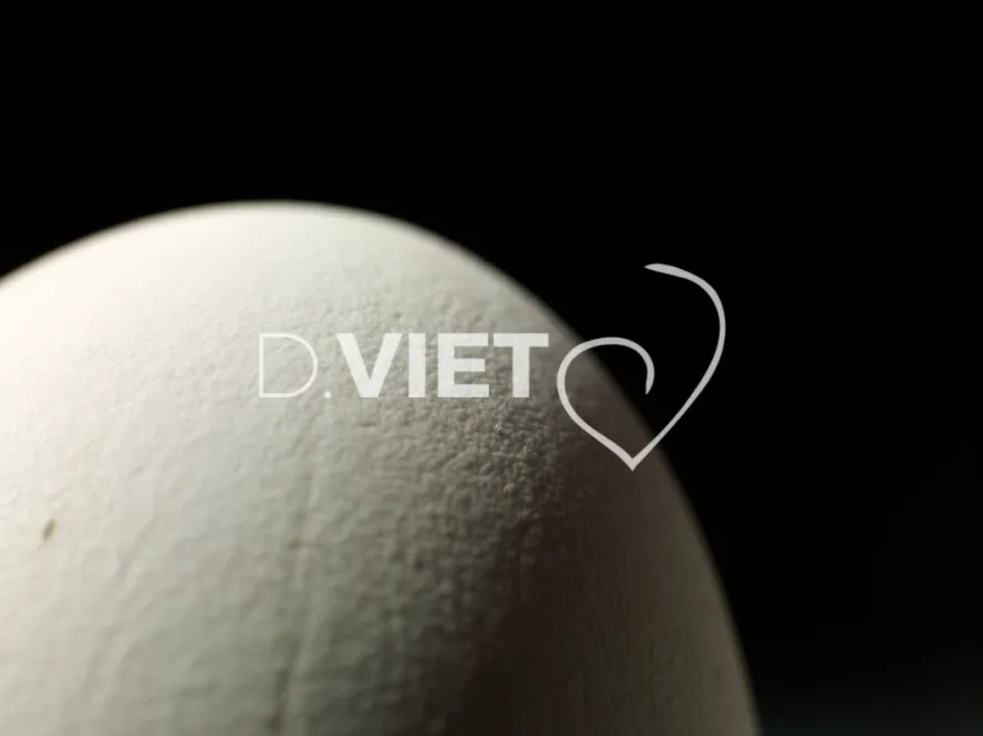 Photo Dominique VIET - Oeufs d'oies