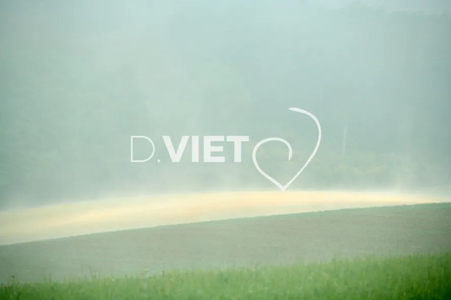 Photo Dominique VIET - Terres semées et fumeroles