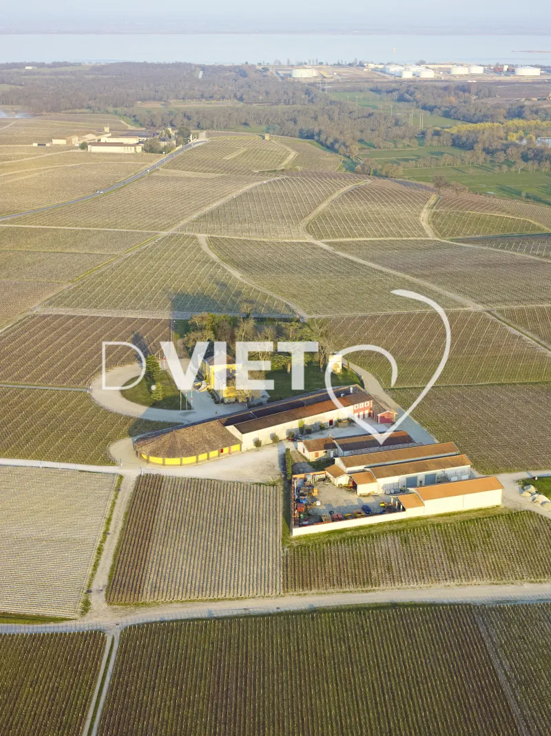 Photo Dominique VIET - Chateau lafon Rochet Medoc