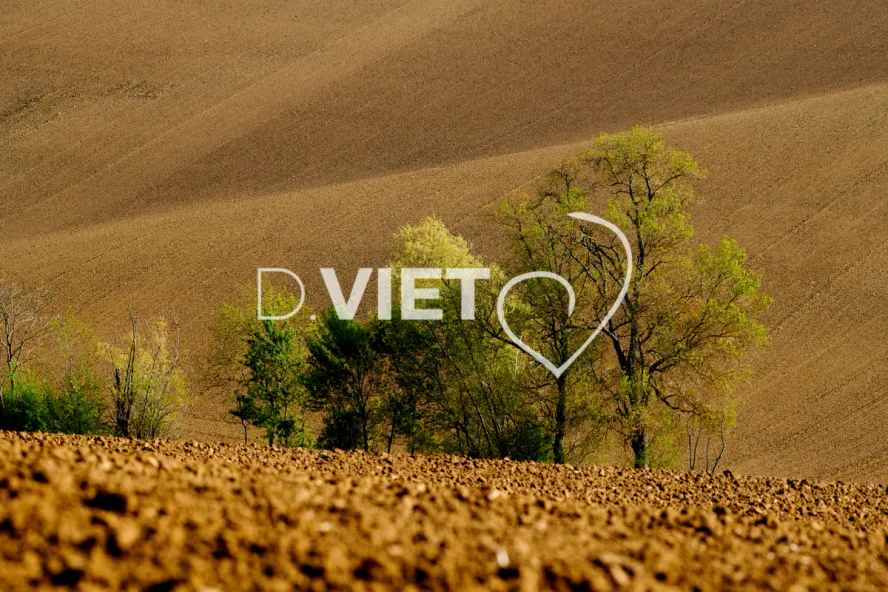 Photo Dominique VIET - Terres et Arbres