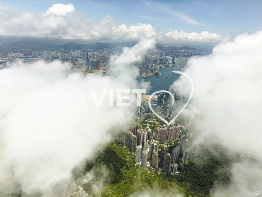 Photo Dominique VIET - VIET_007078