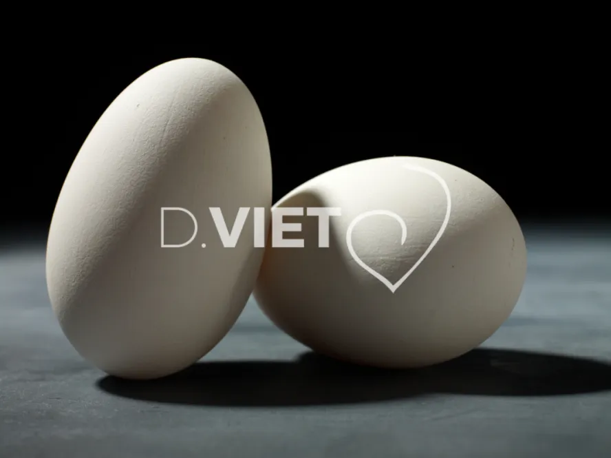 Photo Dominique VIET - Oeufs d'oies