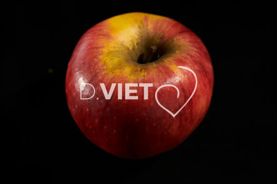 Photo Dominique VIET - Pommes